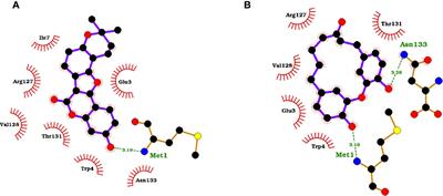 Identifying potential monkeypox virus inhibitors: an in silico study targeting the A42R protein